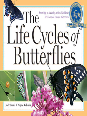 cover image of The Life Cycles of Butterflies